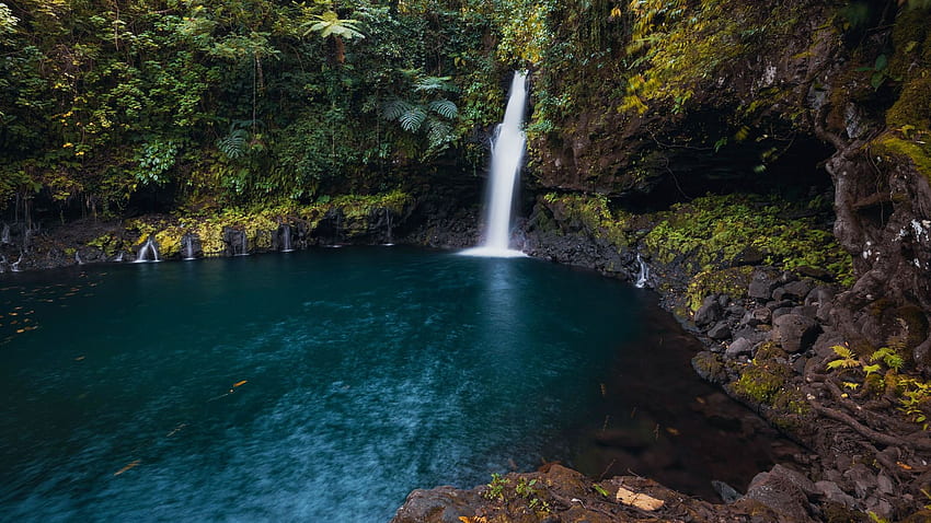 Afu Aau falls, Samoa, trees, river, leaves, pond HD wallpaper