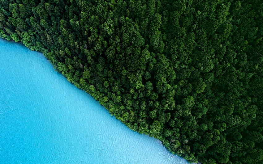 изглед от въздуха, гора, море, лято, красива природа, синя вода, R, концепции за пътуване HD тапет