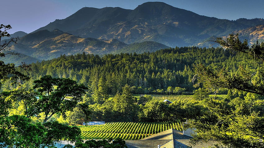 Napa Valley Hills, Napa, Kalifornien HD-Hintergrundbild