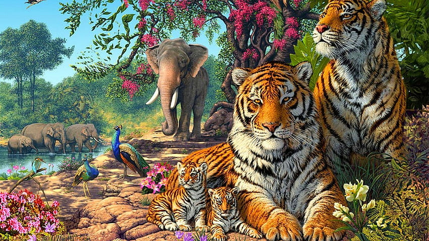 Тигри Семейство Екзотични птици Паун Слонове Джунгла Природа За любителите на животните, дивата природа и природата HD тапет