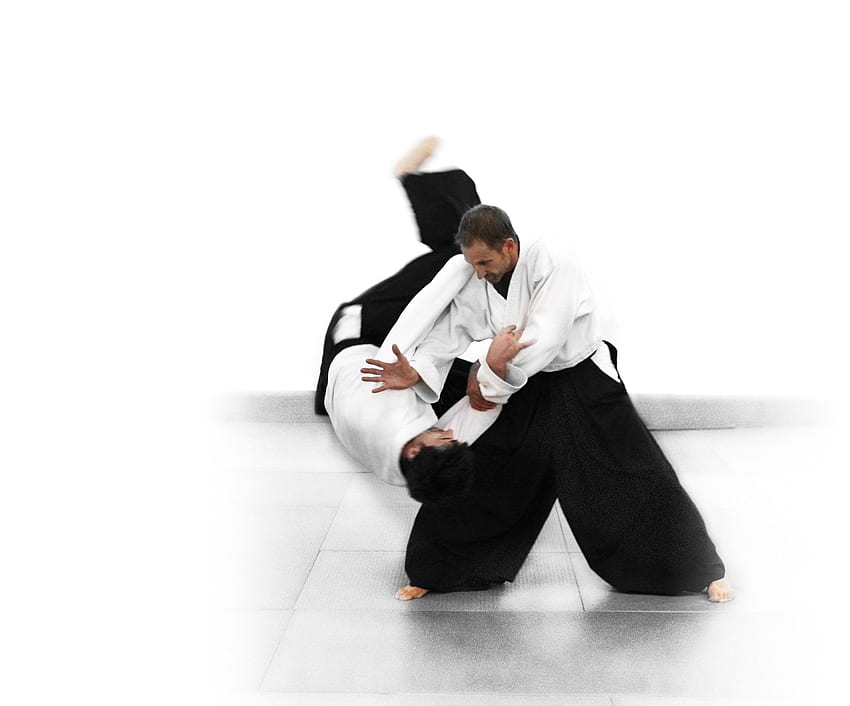 Aikido HD wallpaper