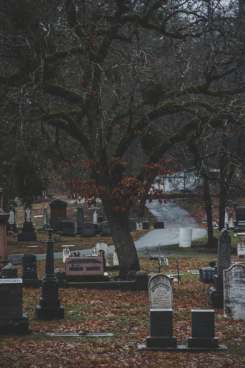Гробище, Тъмен гроб HD тапет за телефон