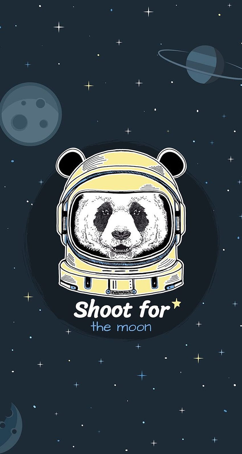 Panda space background. Panda art, Bear illustration, Animal illustration HD phone wallpaper