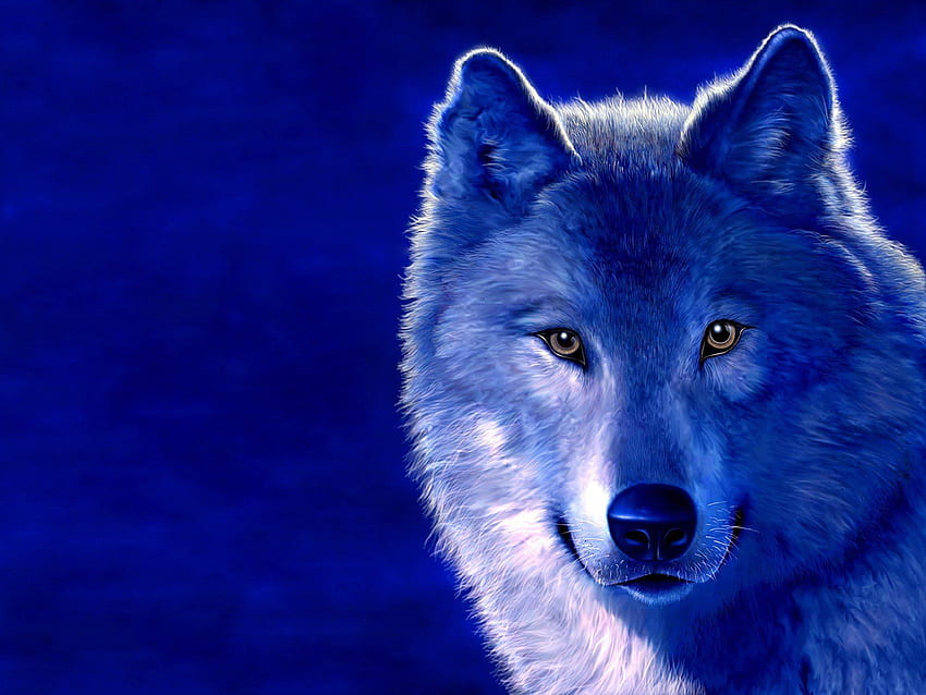 Blue animals digital art wolves . . 326913. Animals, Wolf spirit, Wolf HD wallpaper