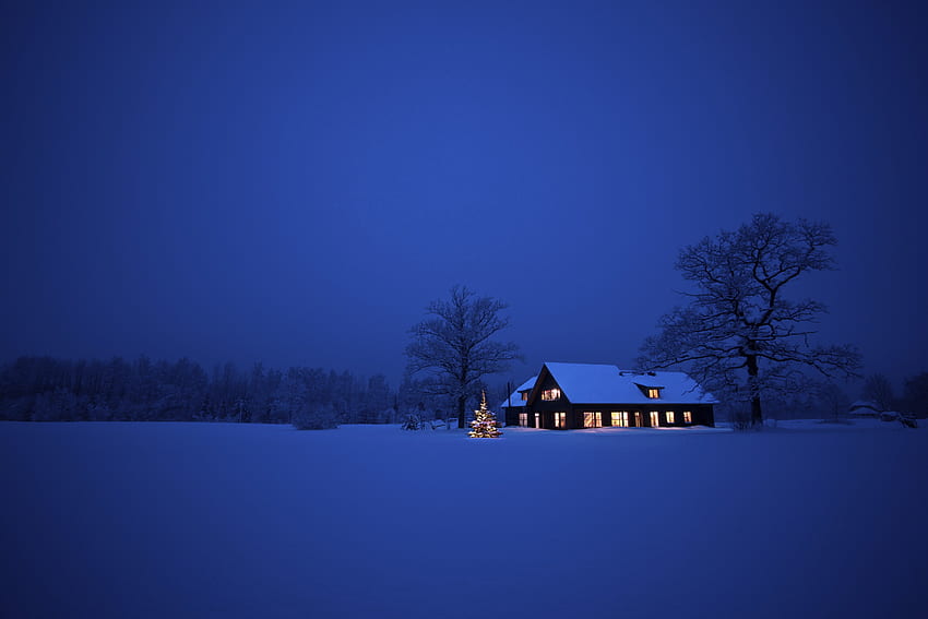 Winter Night ฤดูหนาว กลางคืน หิมะตก หิมะ คริสต์มาส บ้าน คริสต์มาส ต้นไม้ วอลล์เปเปอร์ HD