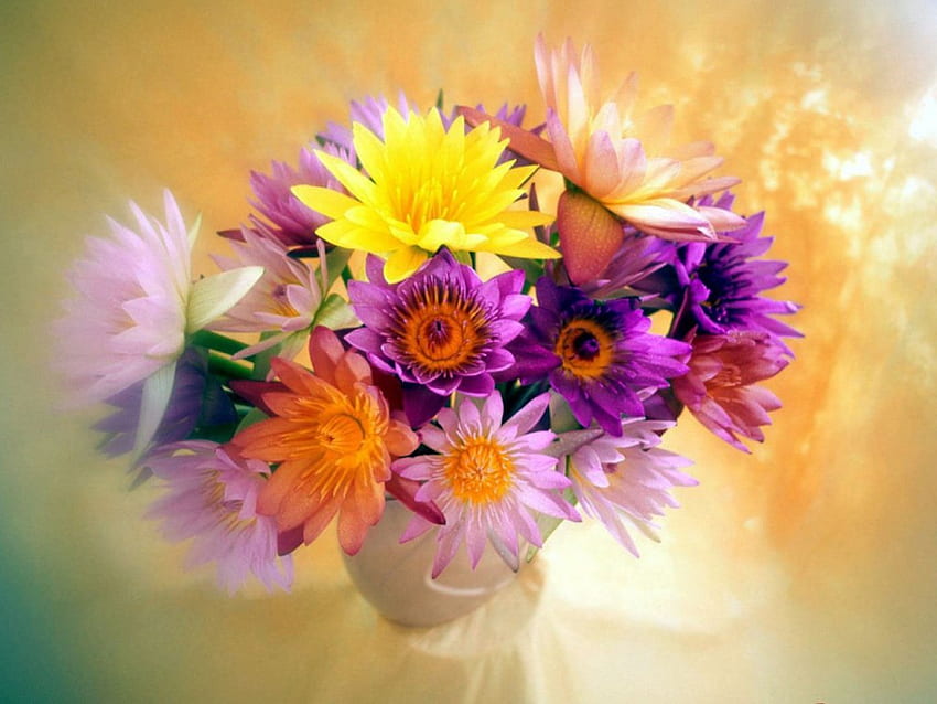 Vaso di fiori, vaso, fiori Sfondo HD