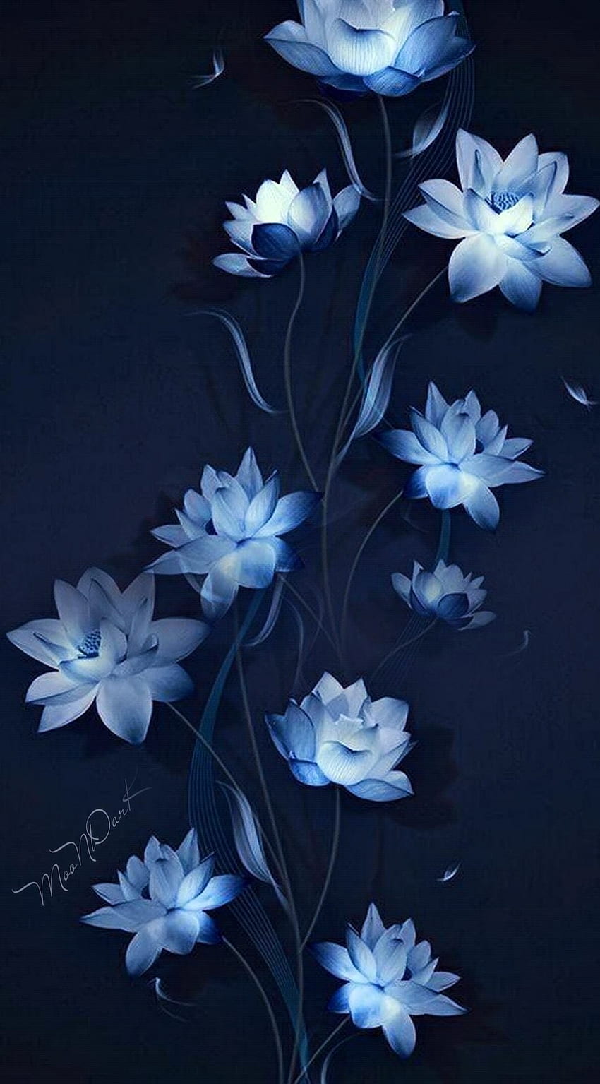 Lotus, petal, white HD phone wallpaper