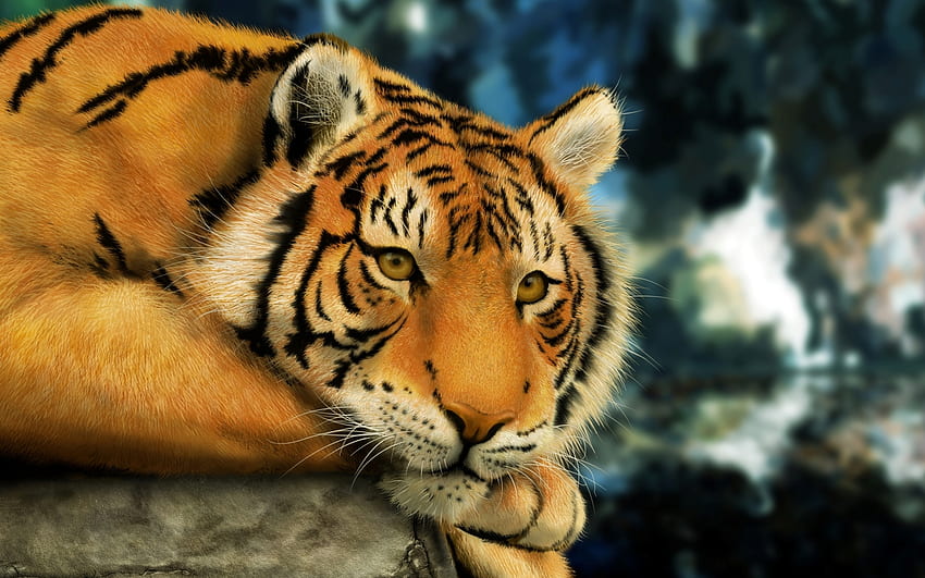 Animali, Tigri Sfondo HD