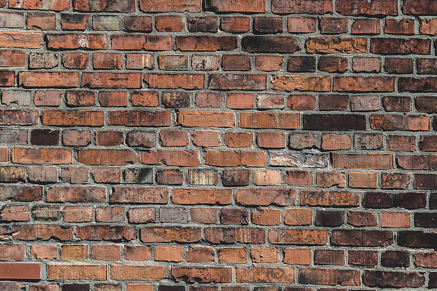 Texture, Textures, Surface, Wall, Old, Bricks, Brick Wall HD wallpaper
