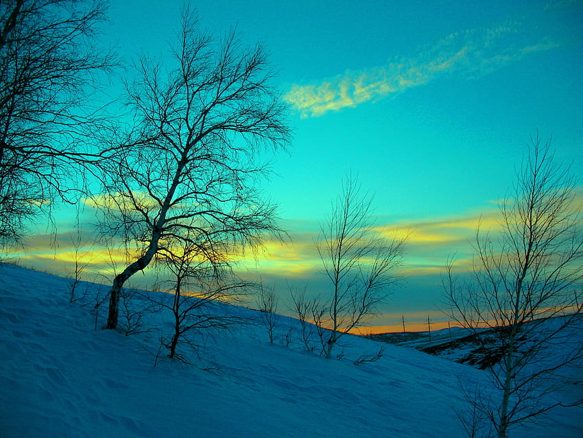 Зима, природа, небе, сняг, вечер, слана, студ, март, февруари HD тапет