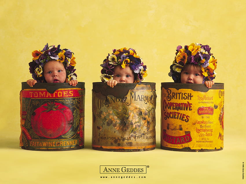 赤ちゃん、アン・ゲデス、缶、花輪、花 高画質の壁紙