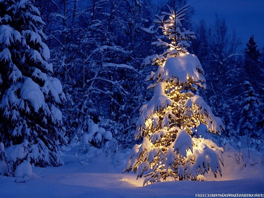 Hãy tận hưởng không khí lễ Giáng sinh đầy phấn khích với một hình nền nghệ thuật đầy tuyết trắng giữa những cành cây ngập tràn ánh sáng. Tải ngay hình nền Giáng sinh tuyết cho máy tính để bàn của bạn và đón chào ngày lễ tuyệt vời nhất trong năm!
