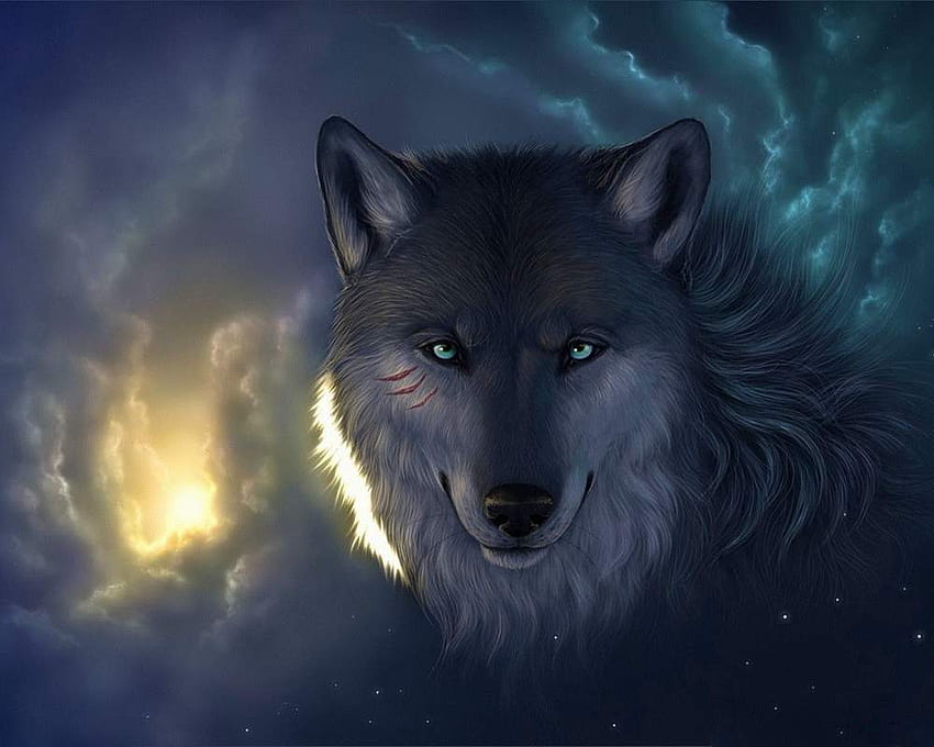 Cool Wolf 11 Zabawny facet, Awesome Wolf Tapeta HD