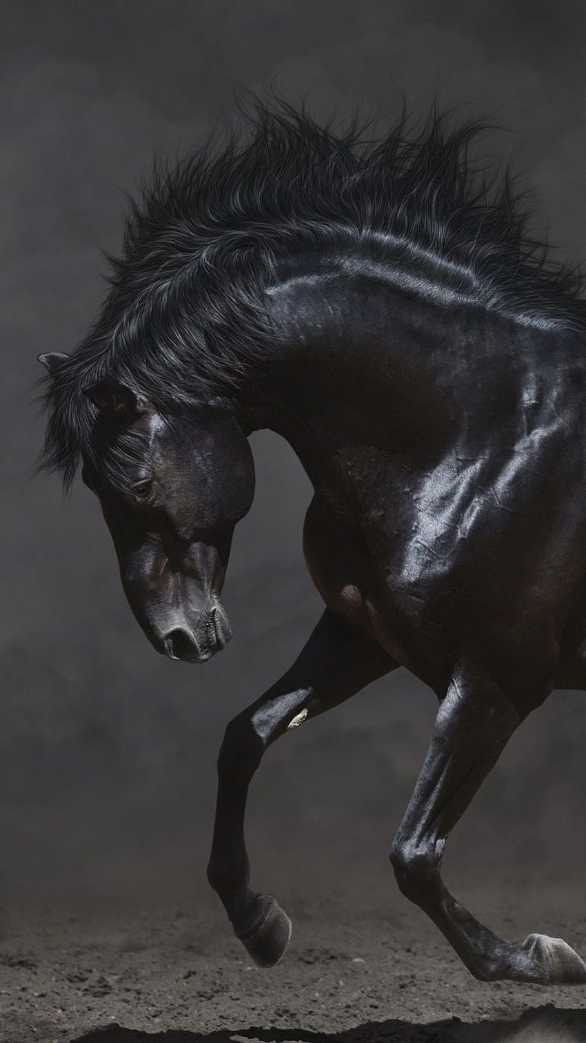 Schwarzes Pferd läuft im Dunkeln IPhone 8 7 6 6S Plus HD-Handy-Hintergrundbild