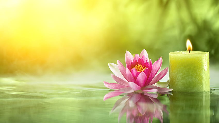 Centro benessere Lotus Be Well, studio di yoga e lezioni di yoga - - Sfondo HD