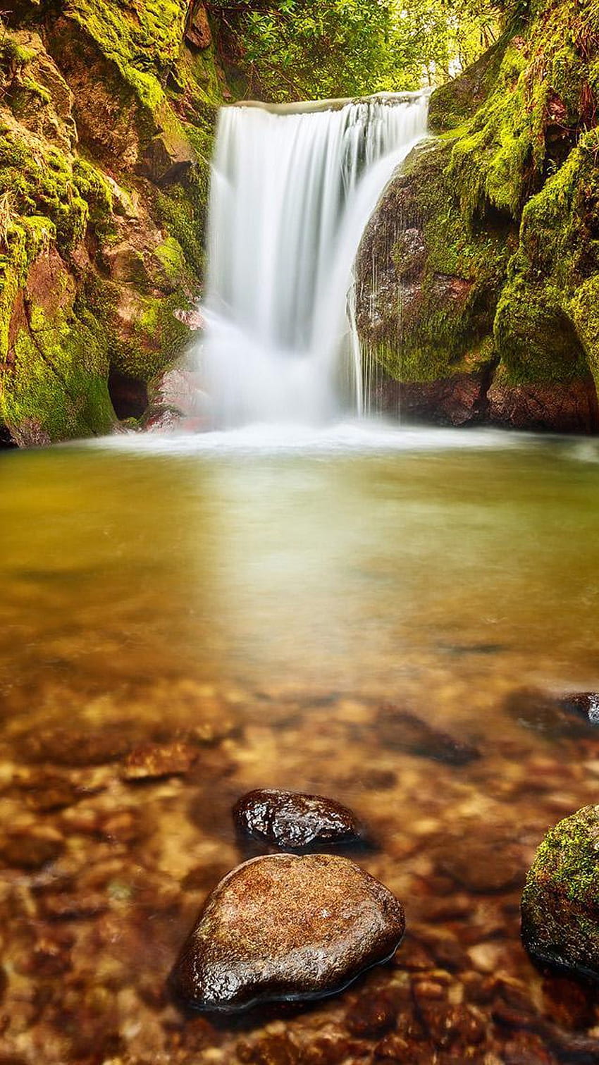 Naturporträtmodus - Hochwertige Natur, natürliches Wasser HD-Handy-Hintergrundbild