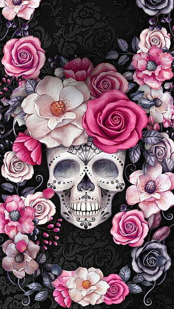 Skull and roses HD wallpapers  Pxfuel