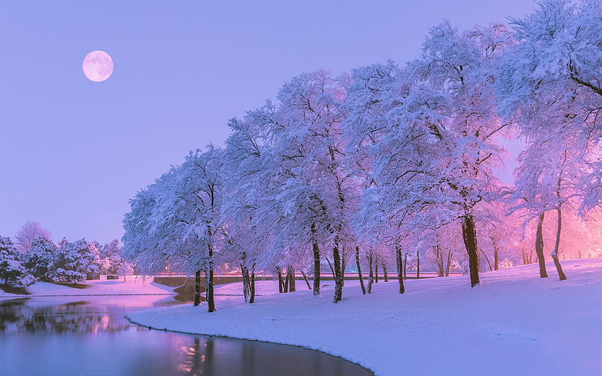 Hermoso invierno, nieve, árboles, río, luna - Navidad azul rosa estética fondo de pantalla