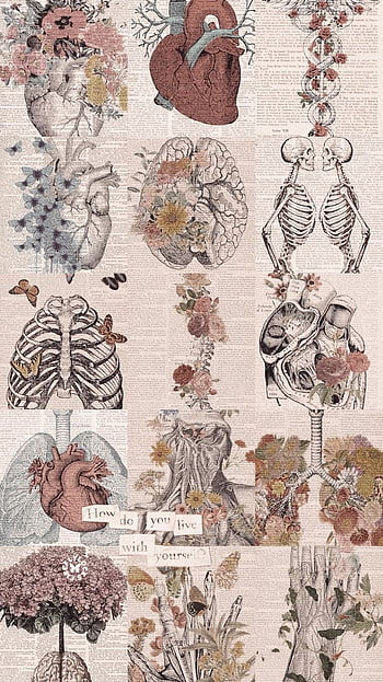 Biology tumblr HD wallpapers | Pxfuel