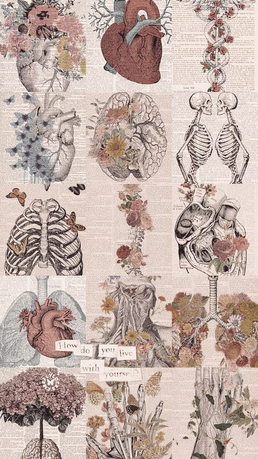 caffeinatedmedlife on Collage. Biology art, iPhone tumblr aesthetic, Art . Biology art, Medical , Cute patterns HD phone wallpaper