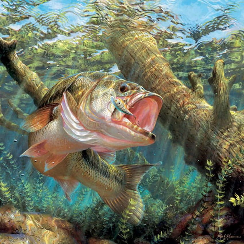 MEMANCING ikan olahraga ikan air bawah air danau sungai karya seni bass . wallpaper ponsel HD