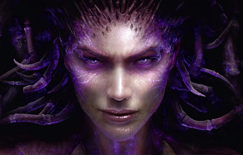 Purple Shade Witch, medusa, cyber, game, starcraft, dark, warrior, witch HD wallpaper