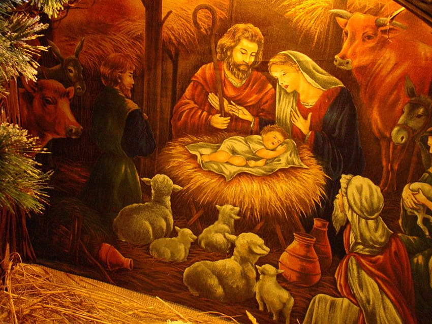 구유, 크리스마스, 그리스도, 구유, 동물 HD 월페이퍼