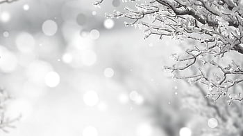 Elegant black and white christmas HD wallpapers | Pxfuel