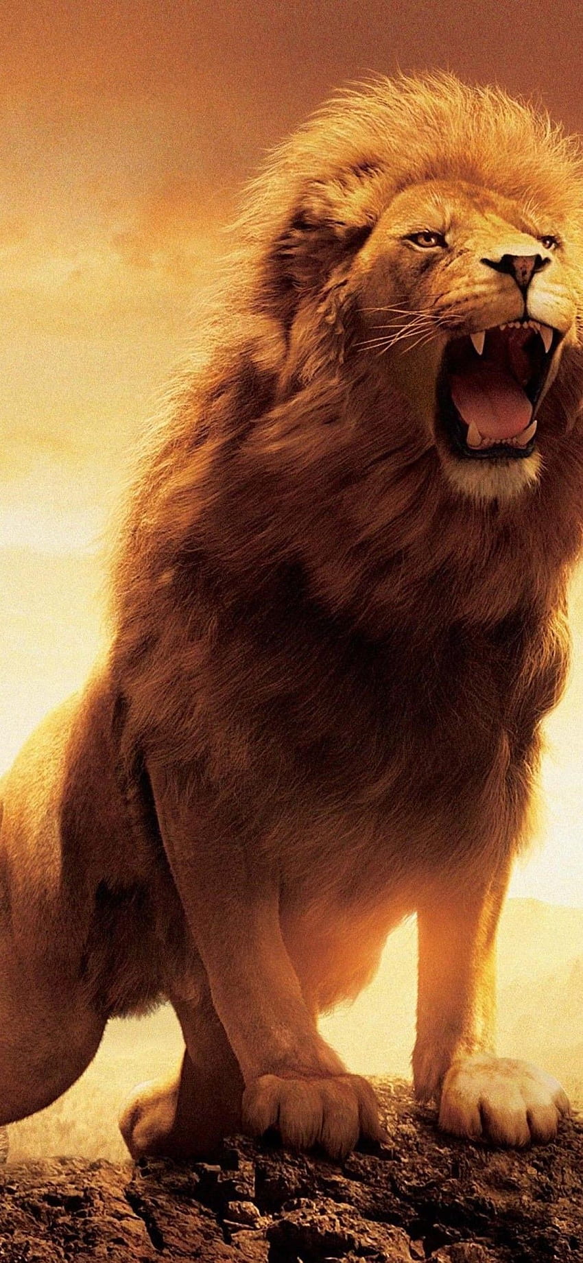 Narnia Lion iPhone XS, iPhone 10, iPhone X , , Background, and, 1125X2436 Lion  HD phone wallpaper | Pxfuel