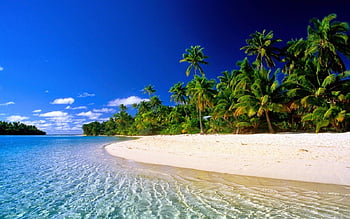Hình nền Guadeloupe HD sẽ khiến bạn phấn khích với sự độc đáo và sự hoang sơ của thiên nhiên. Hãy cùng nhau khám phá những bãi biển đẹp và những khung cảnh tuyệt đẹp trên màn hình của bạn.