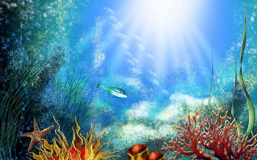 自然, 輝き, 光, 植生, 魚, 藻類, 海藻, 水中, 水中 高画質の壁紙