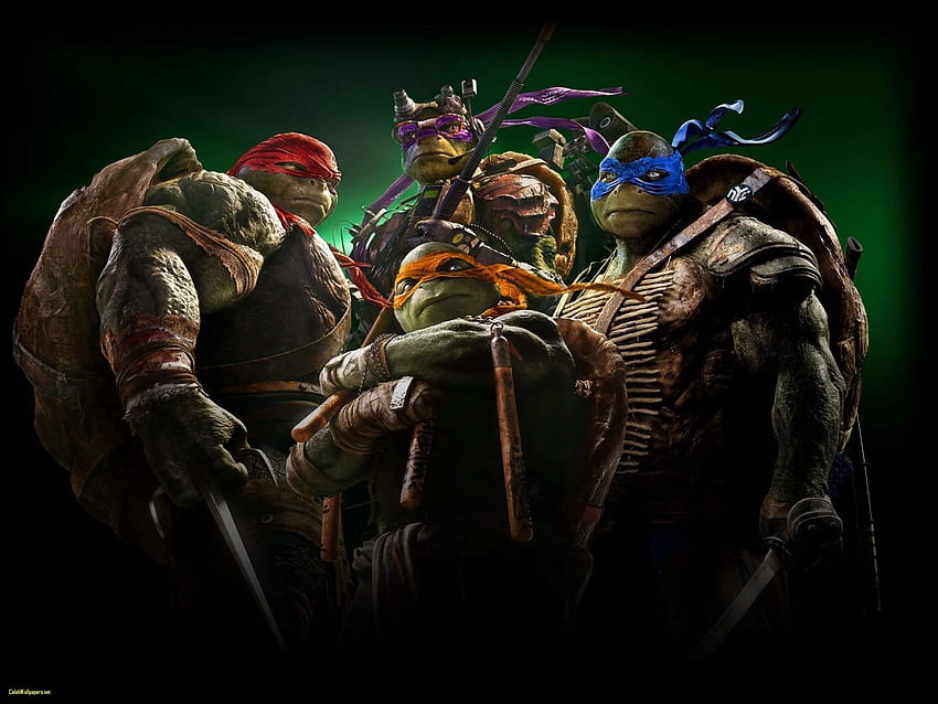 https://e0.pxfuel.com/wallpapers/717/582/desktop-wallpaper-teenage-mutant-ninja-turtles-tmnt-iphone-ipad-best-of-awesome-ninja.jpg