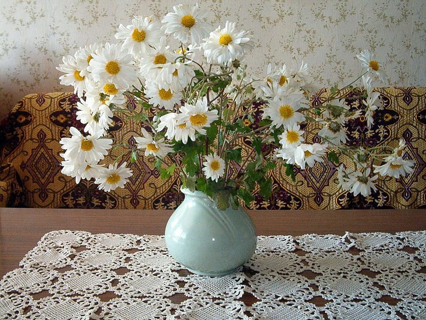 繊細なヒナギク、テーブル、花瓶、白いヒナギク、レースのテーブル クロス 高画質の壁紙