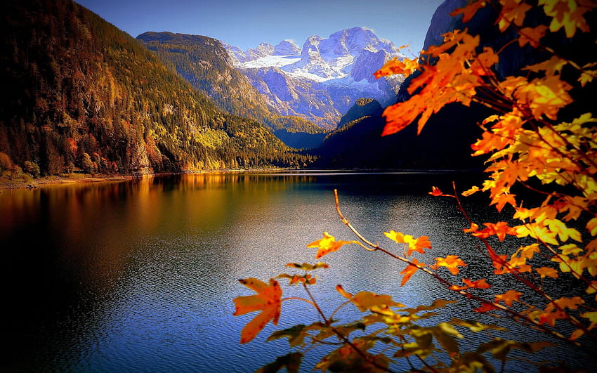 Danau Gosau, Pegunungan Alpen Austria, dedaunan, gunung, musim gugur, lanskap, musim gugur, warna Wallpaper HD
