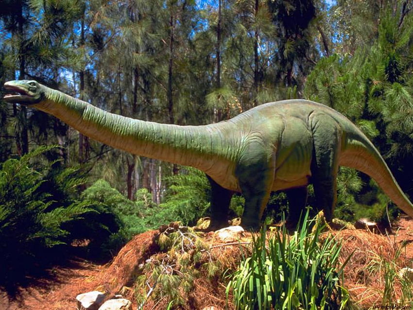 prehistoryczny, dinozaur, gad, ultrasauros Tapeta HD