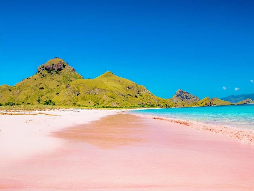 Pink Beach, Komodo Island HD wallpaper