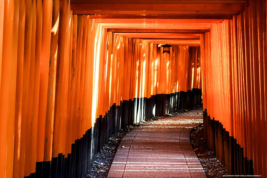 Fushimi Inari Taisha HD wallpaper