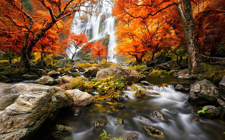秋の滝、秋、木、滝、秋、水、岩、森 高画質の壁紙