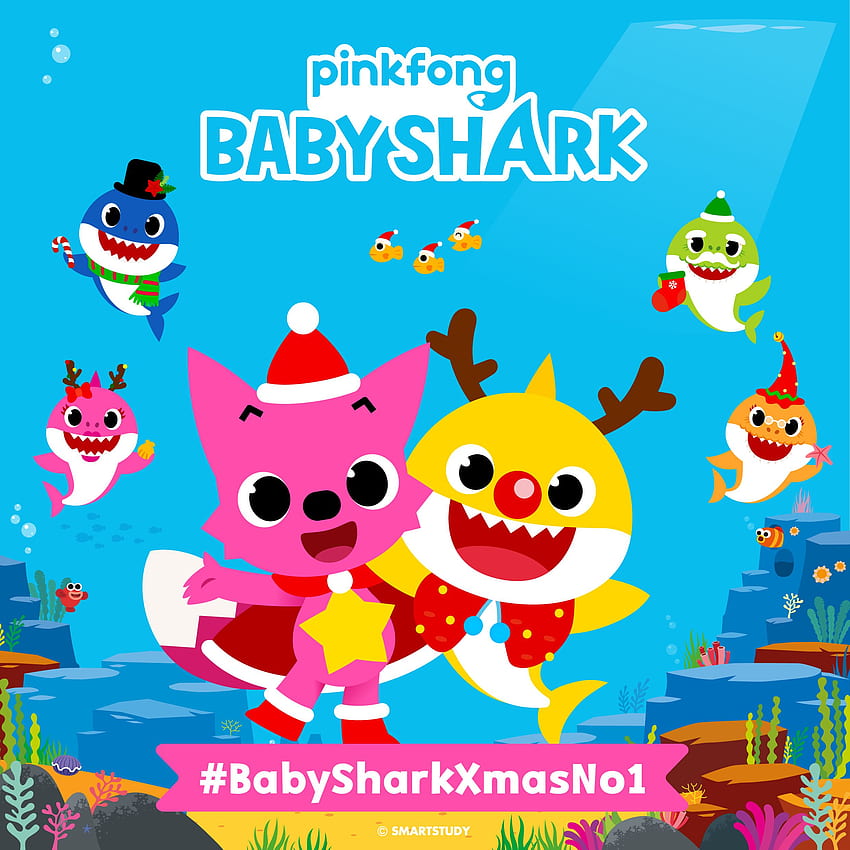 Baby Shark, Pinkfong HD phone wallpaper