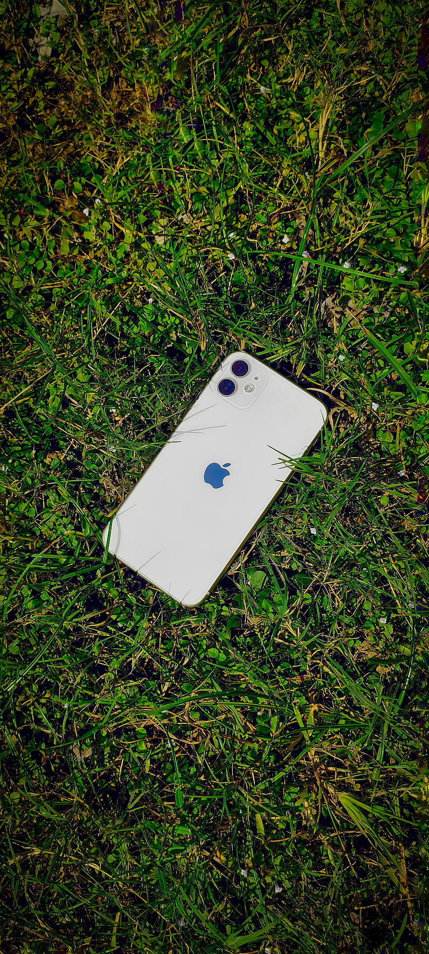 Iphone, green background, plastic, gadget, grass , , full screen , android , ios HD phone wallpaper