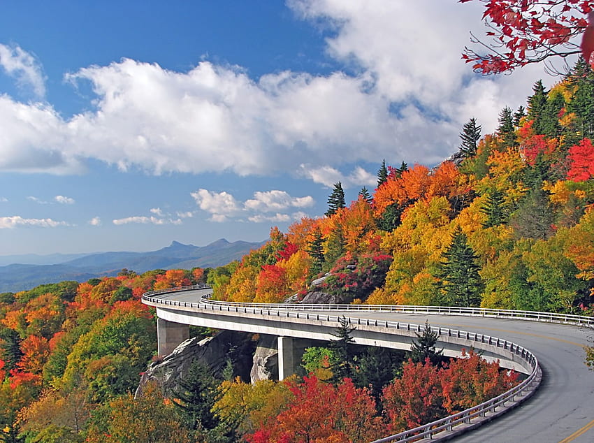 Estrada de outono, outono, paisagem, ponte, outono, estrada papel de parede HD