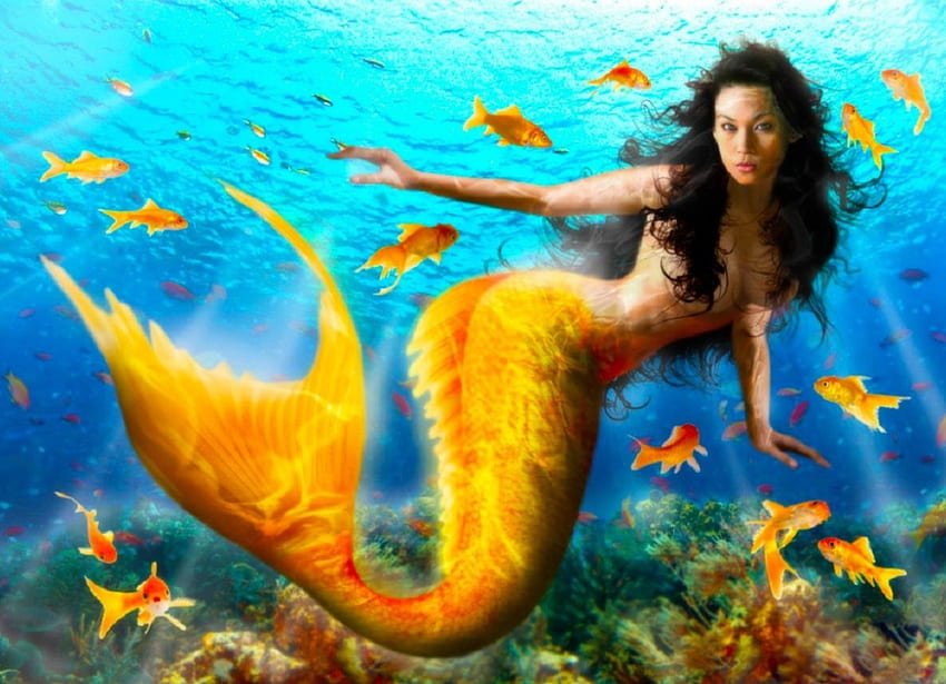 Sirena gialla, sirena, graphy, arte, figura, ragazza, bella, persone, donna, digitale, fantasia, bella, gialla, femmina Sfondo HD