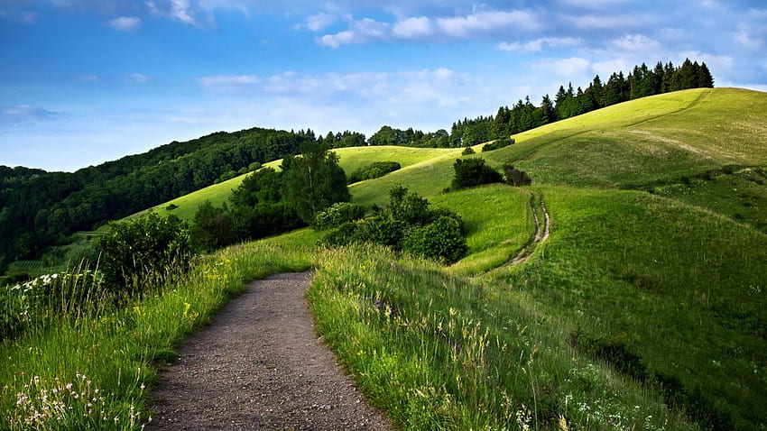 Path way landscape hills mountains forest green nature spring sky trees . HD wallpaper