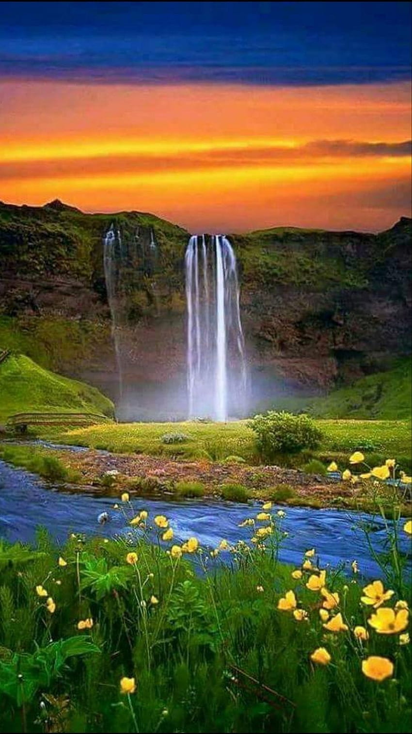 Beautiful Nature, Background HD phone wallpaper