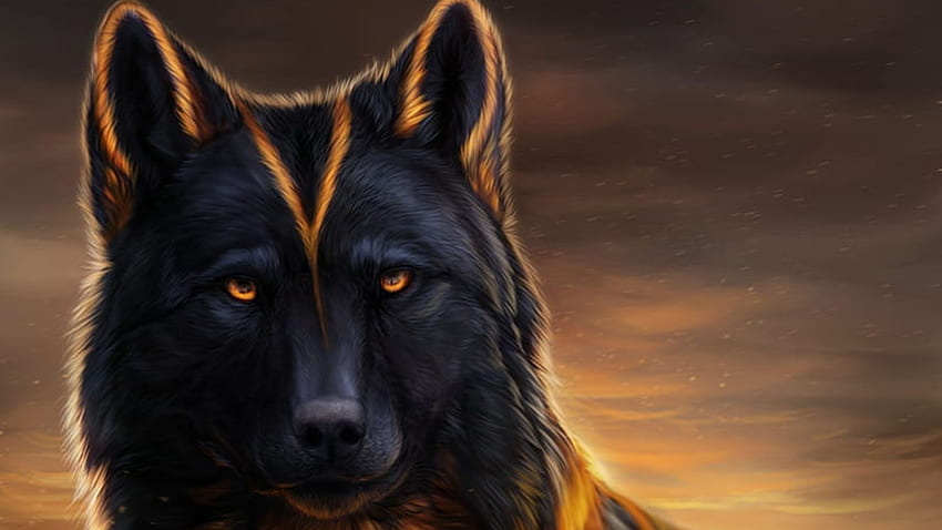  Dark Wolf Background Full HD Wallpaper Download  CBEditz