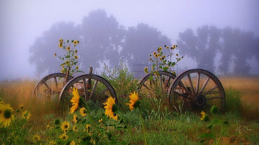 Mystical Moody Pagi, pagi, musim gugur, kabut, roda gerobak, kabut, bunga matahari, lapangan, musim gugur, vintage Wallpaper HD