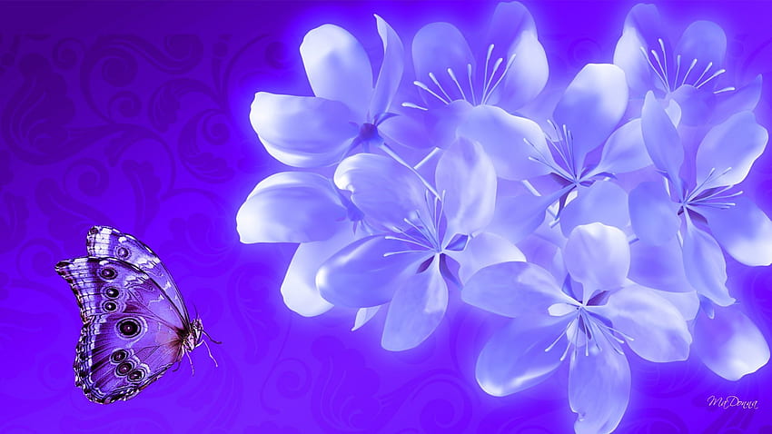 Twilight Blossoms Beauty, azul, violeta, mariposa, lavanda, flores, flores, floraciones, lila fondo de pantalla