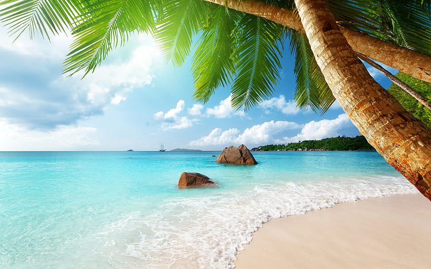 тропици, рай, плаж, палми, слънчеви лъчи, море, синя вода, вълни, концепция за пътуване HD тапет