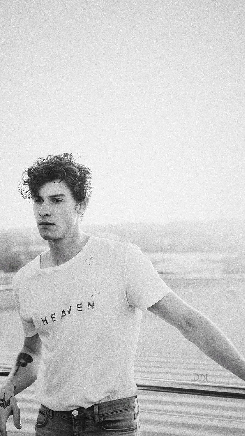 Shawn Mendes iPhone HD phone wallpaper