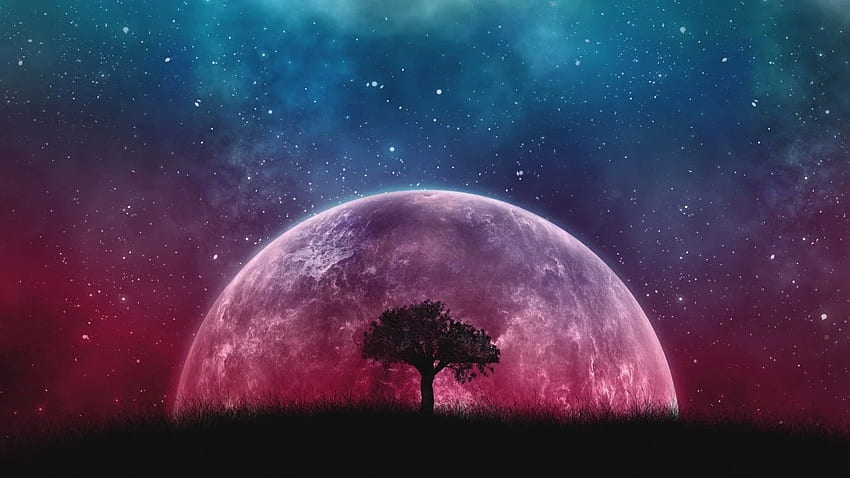 Big Moon, Nebula, Stars, Lonely Tree, Purple Galaxy HD wallpaper